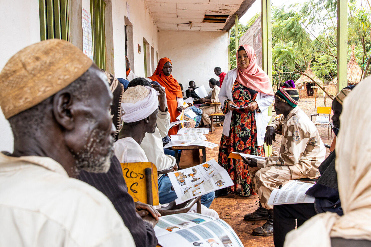 Programme Reviews & Evaluations